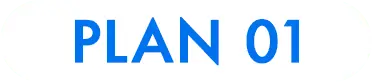 PLAN 01